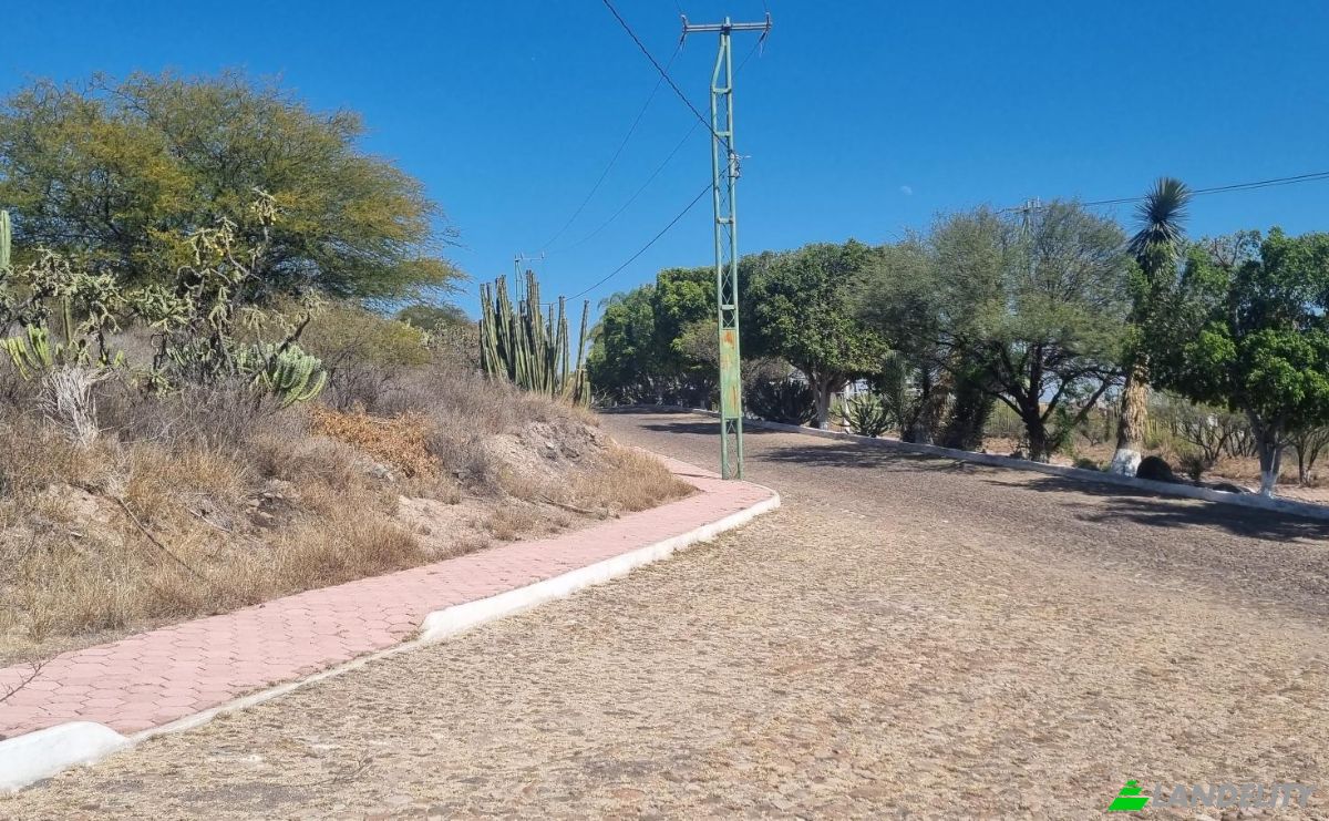 Land Lot for Sale 42459 Yextho Chico, Hgo, Yextho Chico, Tecozautla, Hidalgo, Mexico. Photo 3