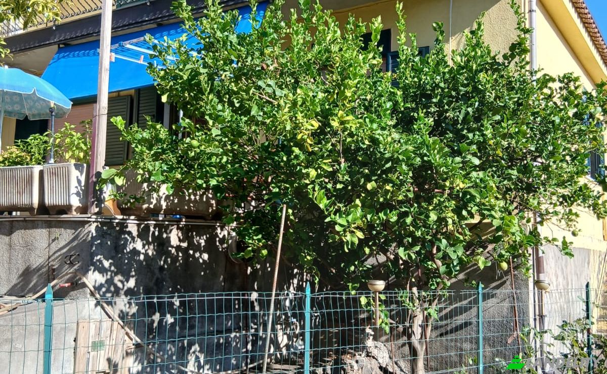 Villa for Sale Via Pietramarina, 95012 Verzella CT, Verzella, Metropolitan city of Catania, Sicily, Italy. Photo 8