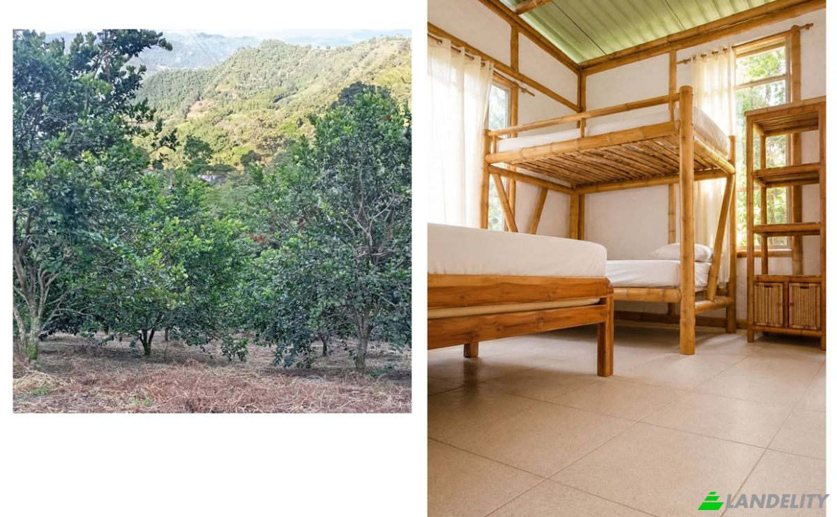 Cabin/Cottage for Sale Vergara, Cundinamarca, Colombia. Photo 4