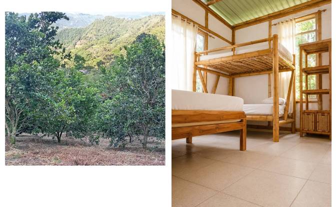 Cabin/Cottage for Sale Vergara, Cundinamarca. Photo#4