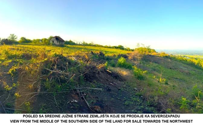 Land Lot for Sale Jagodina, Pomoravlje District. Photo#6 Land Lot for Sale Jagodina, Pomoravlje District. Photo#6