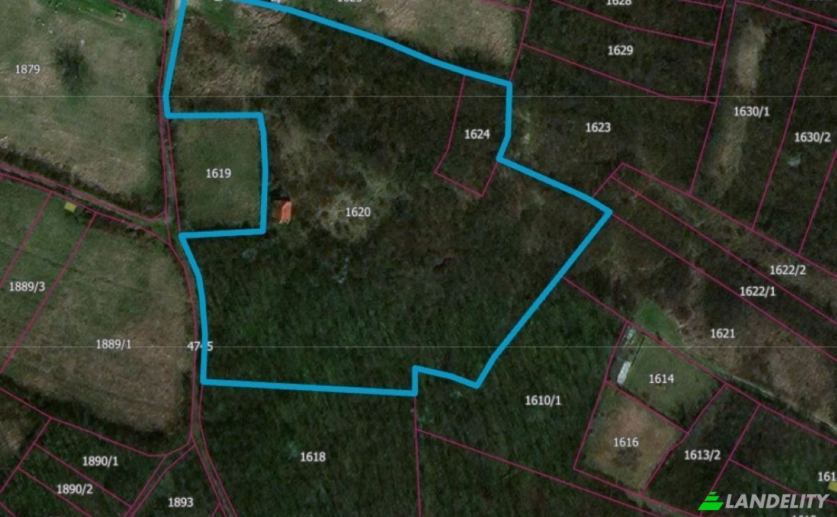 Land Lot for Sale Jagodina, Pomoravlje District, Serbia. Photo 2