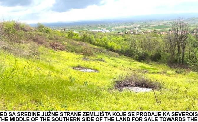 Land Lot for Sale Jagodina, Pomoravlje District. Photo#5 Land Lot for Sale Jagodina, Pomoravlje District. Photo#5
