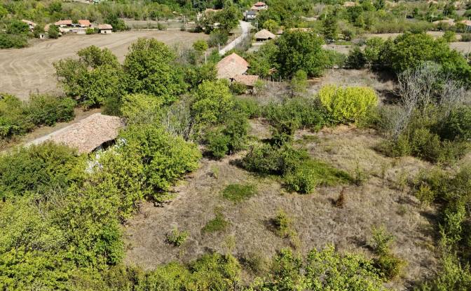 Farm/Ranch for Sale 9233 Ovchaga, Ovchaga. Photo#2
