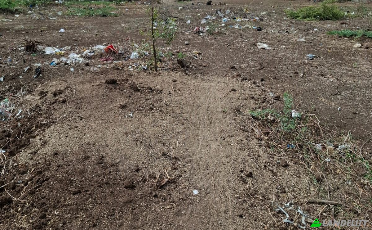 Investing/Development for Sale Jogvad, Gujarat 361280, Rangpar, Jamnagar, Gujarat, India. Photo 2