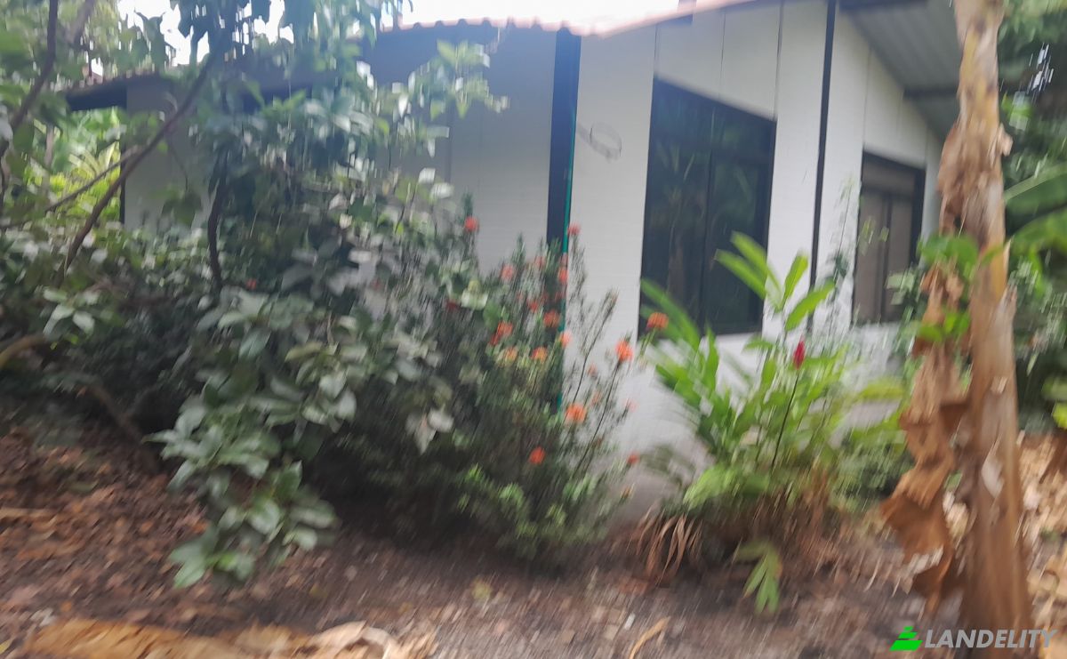 Farm/Ranch for Sale San LORENZO, Armero, Tolima, Colombia. Photo 22