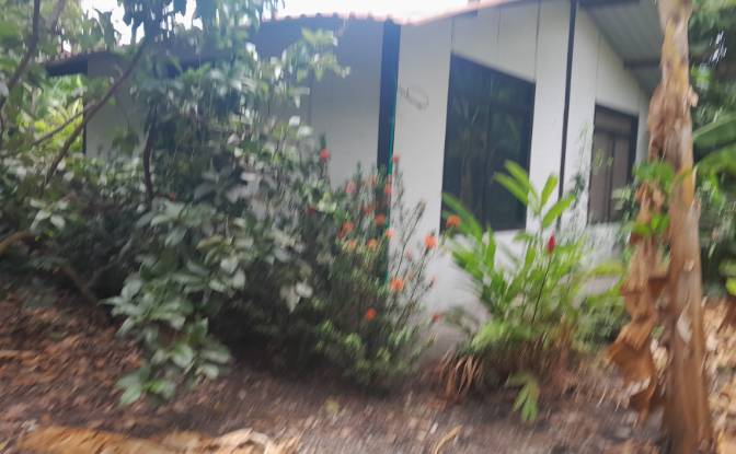 Farm/Ranch for Sale San LORENZO, Armero, Tolima. Photo#22 Farm/Ranch for Sale San LORENZO, Armero, Tolima. Photo#22