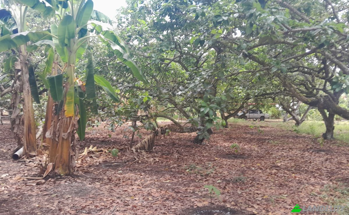 Farm/Ranch for Sale San LORENZO, Armero, Tolima, Colombia. Photo 24
