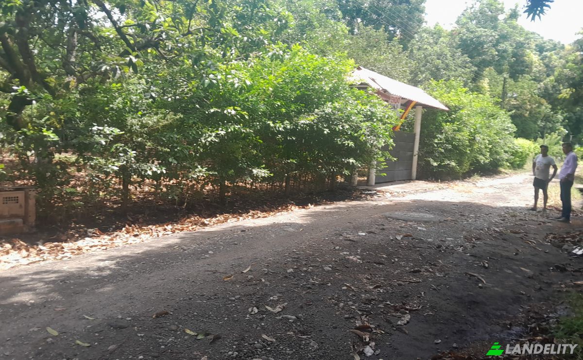 Farm/Ranch for Sale San LORENZO, Armero, Tolima, Colombia. Photo 4