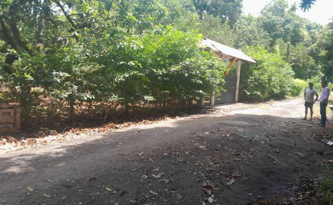Farm/Ranch for Sale San LORENZO, Armero, Tolima. Photo#4 Farm/Ranch for Sale San LORENZO, Armero, Tolima. Photo#4
