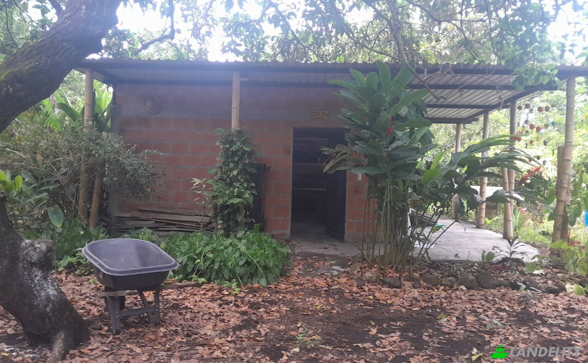 Farm/Ranch for Sale San LORENZO, Armero, Tolima, Colombia. Photo 5