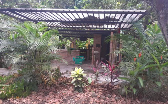 Farm/Ranch for Sale San LORENZO, Armero, Tolima. Photo#6 Farm/Ranch for Sale San LORENZO, Armero, Tolima. Photo#6