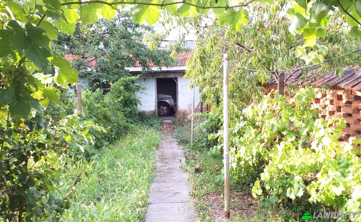 Single Family Home for Sale 3360 Rogozen, Rogozen, Hayredin, Vratsa, Bulgaria. Photo 14