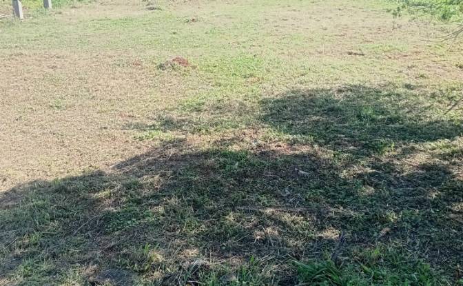 Land Lot for Sale - Garupa, Argentina