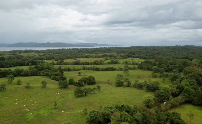 Investing/Development for Sale Provincia de. Photo#1 Investing/Development for Sale Provincia de. Photo#1