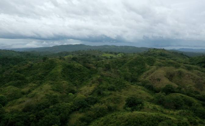Investing/Development for Sale Provincia de. Photo#2 Investing/Development for Sale Provincia de. Photo#2