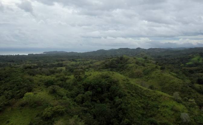 Investing/Development for Sale Provincia de. Photo#3 Investing/Development for Sale Provincia de. Photo#3