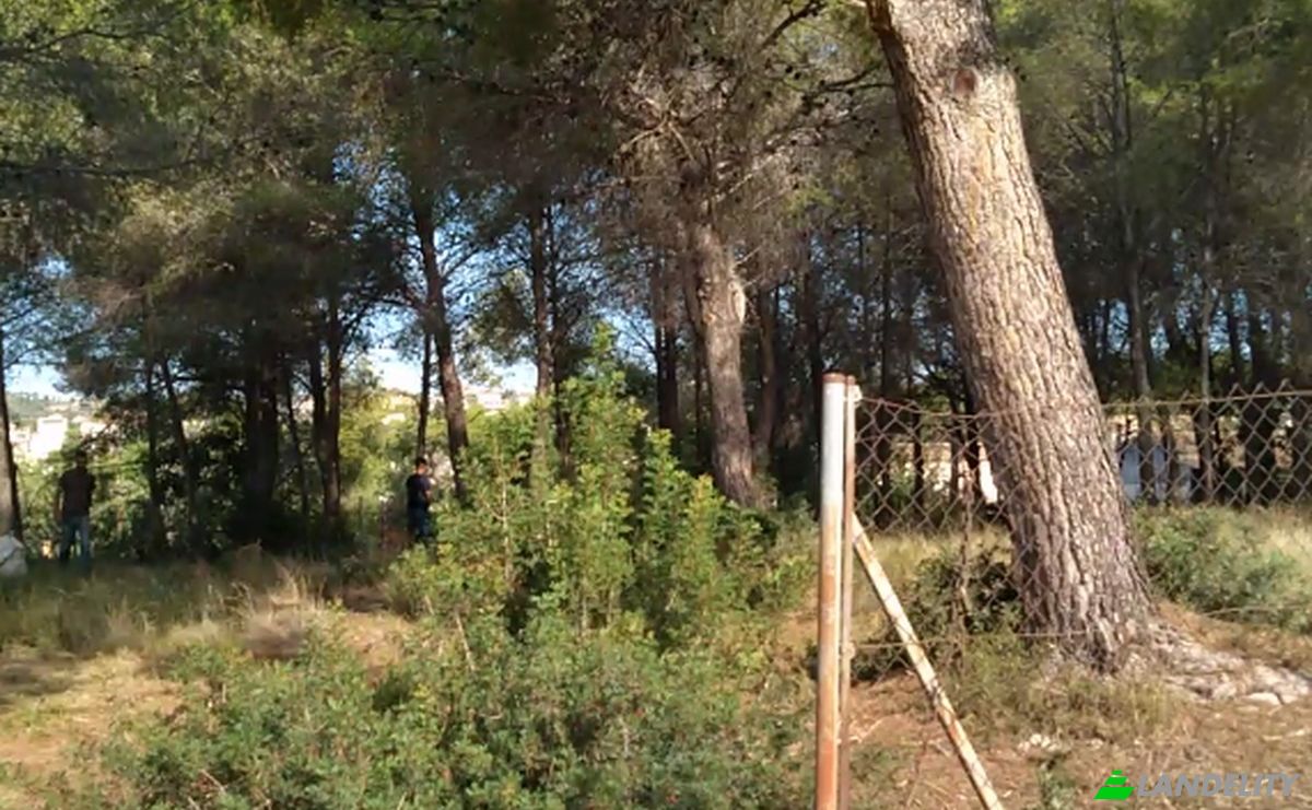 Land Lot for Sale Carrer Acacies, Cunit, Tarragona, Catalonia, Spain. Photo 9