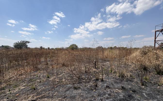 Land Lot for Sale Lusaka, Chongwe, Lusaka Province. Photo#5