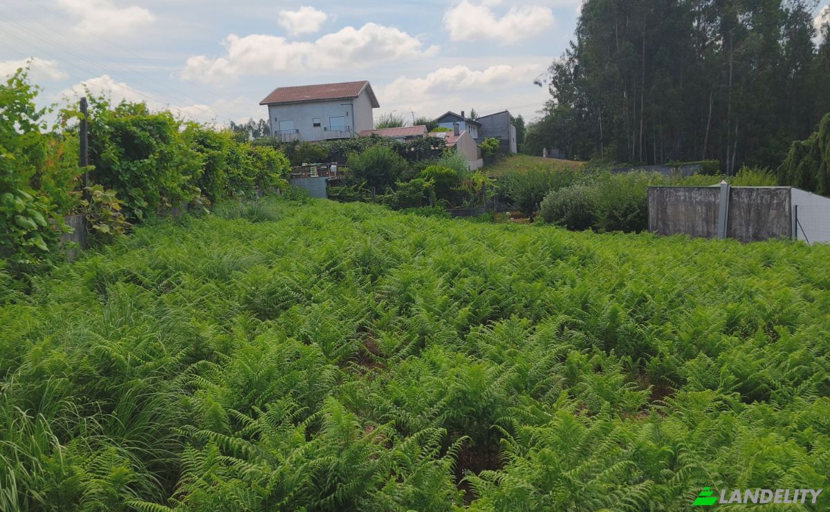 Land Lot for Sale R Gen Humberto Delgado 680, Lever, Vila Nova de Gaia, Porto District, Portugal. Photo 2
