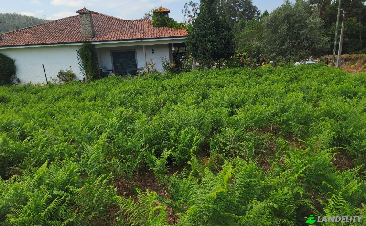 Land Lot for Sale R Gen Humberto Delgado 680, Lever, Vila Nova de Gaia, Porto District, Portugal. Photo 3