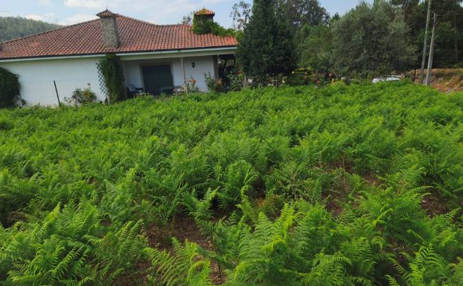 Land Lot for Sale R Gen Humberto Delgado 680. Photo#3 Land Lot for Sale R Gen Humberto Delgado 680. Photo#3