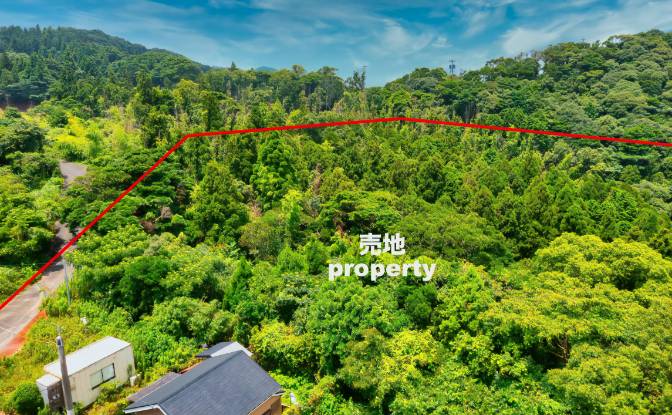 Investing/Development for Sale 1143-70. Photo#2
