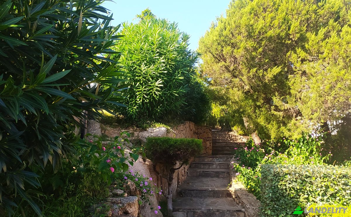 Apartment for Sale Via del Gabbiano, 07021 Pantogia OT, Pantogia, Province of Gallura North-East Sardinia, Sardinia, Italy. Photo 2
