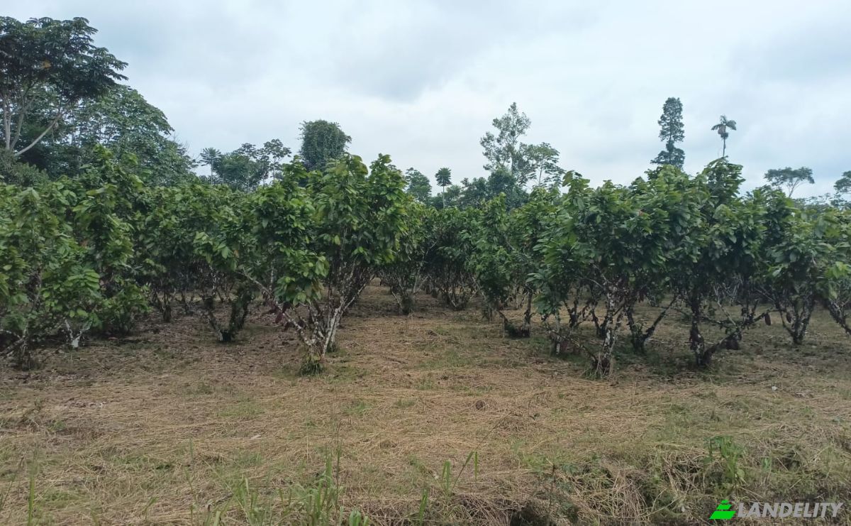 Investing/Development for Sale E40, Puerto Morona, Tiwintza Canton, Morona-Santiago, Ecuador. Photo 2