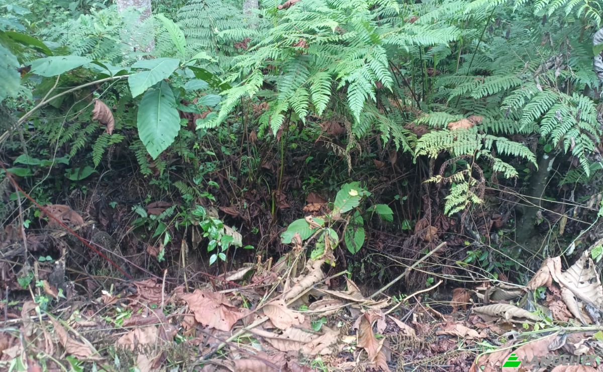 Investing/Development for Sale E40, Puerto Morona, Tiwintza Canton, Morona-Santiago, Ecuador. Photo 3