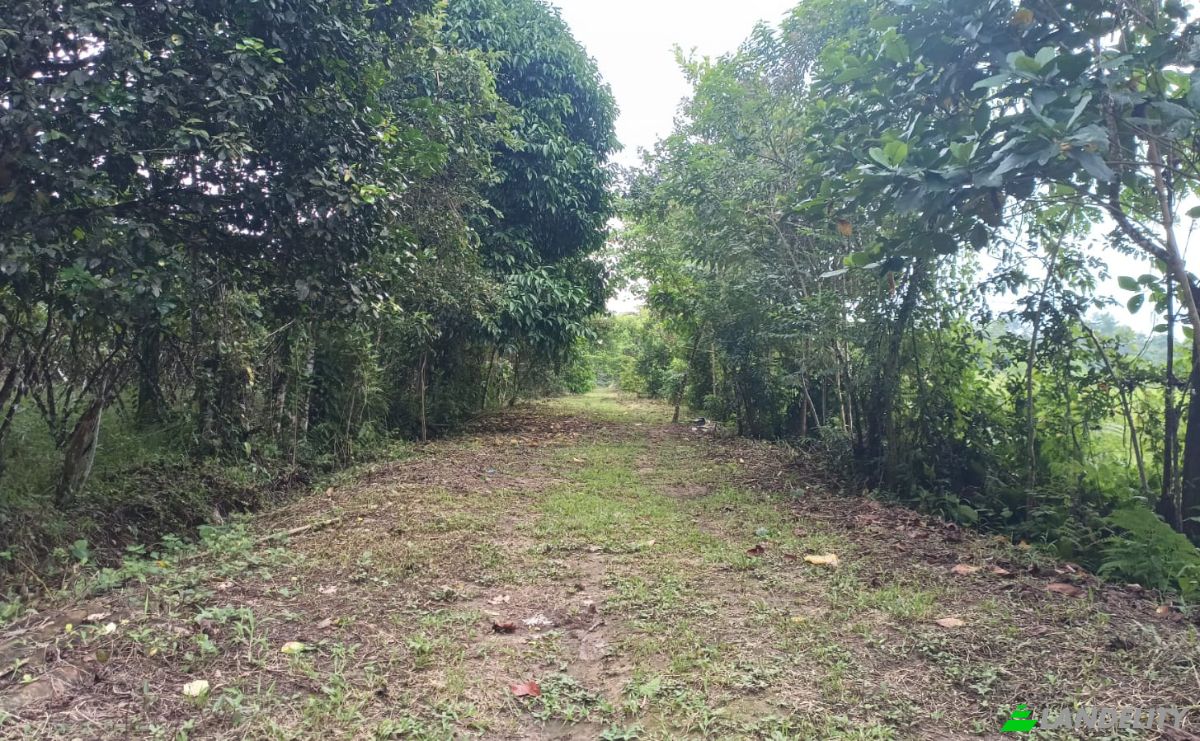 Investing/Development for Sale E40, Puerto Morona, Tiwintza Canton, Morona-Santiago, Ecuador. Photo 4