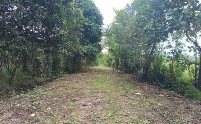 Investing/Development for Sale E40, Puerto Morona. Photo#4