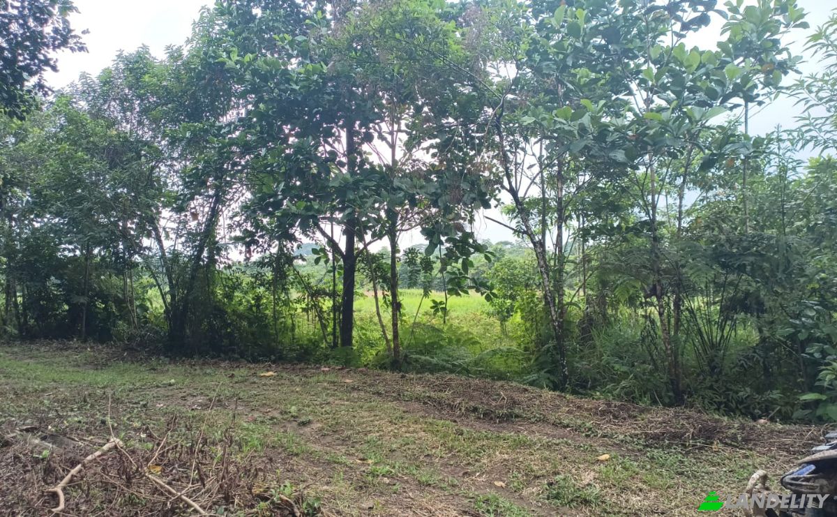 Investing/Development for Sale E40, Puerto Morona, Tiwintza Canton, Morona-Santiago, Ecuador. Photo 7