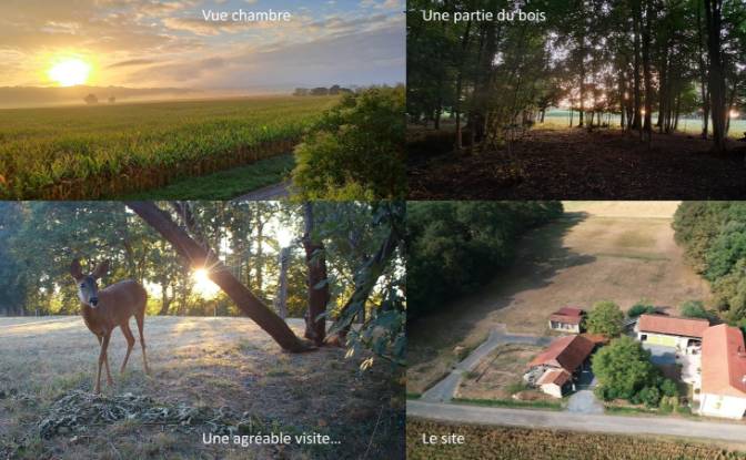 Farm/Ranch for Sale 127 Jouanous, 65140 Buzon. Photo#20