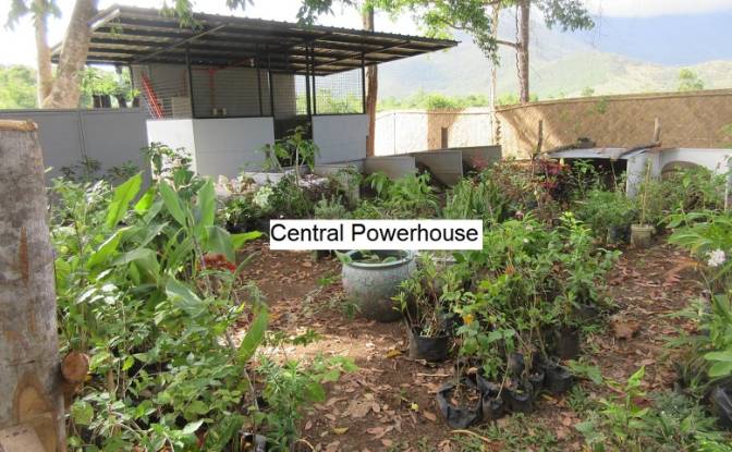 Land Lot for Sale Santa Cruz, Puerto Princesa City. Photo#10 Land Lot for Sale Santa Cruz, Puerto Princesa City. Photo#10