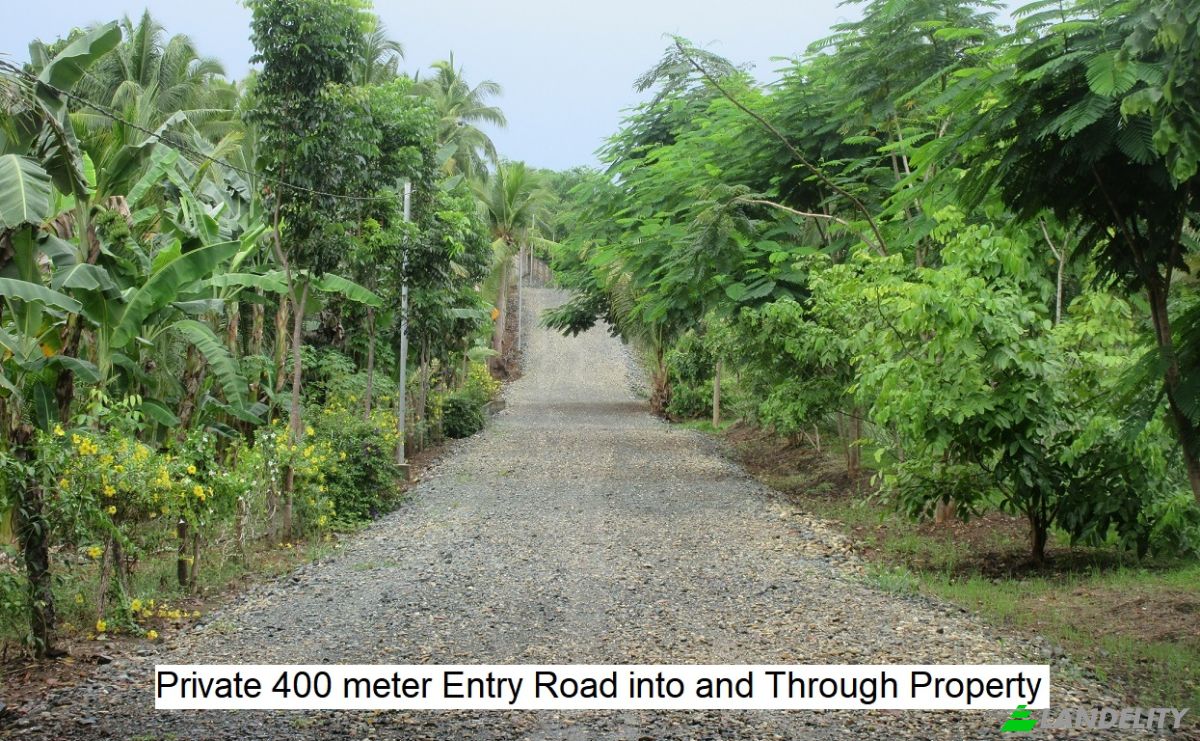 Land Lot for Sale Santa Cruz, Puerto Princesa City, Palawan, Mimaropa, Philippines. Photo 3
