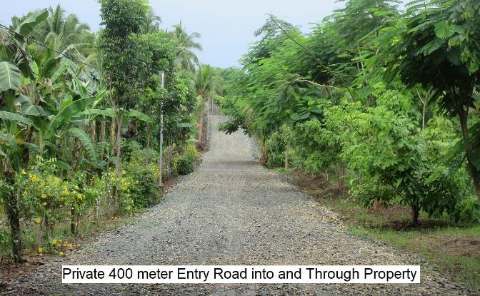 Land Lot for Sale Santa Cruz, Puerto Princesa City. Photo#3 Land Lot for Sale Santa Cruz, Puerto Princesa City. Photo#3