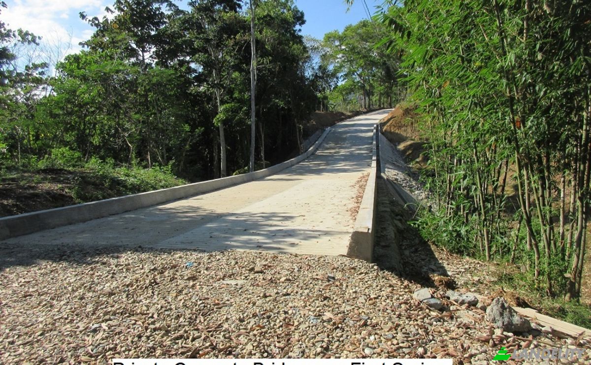Land Lot for Sale Santa Cruz, Puerto Princesa City, Palawan, Mimaropa, Philippines. Photo 4