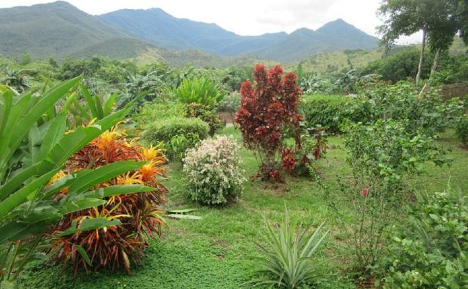 Land Lot for Sale Santa Cruz, Puerto Princesa City. Photo#5 Land Lot for Sale Santa Cruz, Puerto Princesa City. Photo#5
