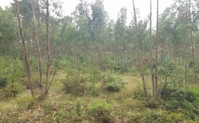 Land Lot for Sale Rua do Beirao, Moledo, Lourinha. Photo#2 Land Lot for Sale Rua do Beirao, Moledo, Lourinha. Photo#2