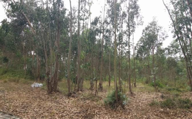 Land Lot for Sale Rua do Beirao, Moledo, Lourinha. Photo#3 Land Lot for Sale Rua do Beirao, Moledo, Lourinha. Photo#3
