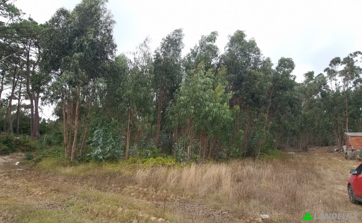 Land Lot for Sale Rua do Beirao, Moledo, Lourinha, Lisbon, Portugal. Photo 4