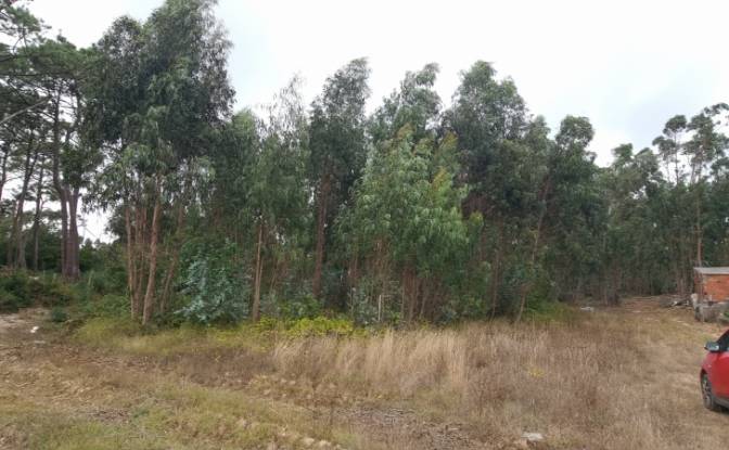 Land Lot for Sale Rua do Beirao, Moledo, Lourinha. Photo#4 Land Lot for Sale Rua do Beirao, Moledo, Lourinha. Photo#4