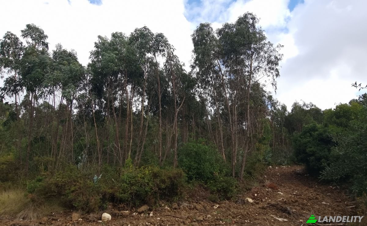 Land Lot for Sale Rua do Beirao, Moledo, Lourinha, Lisbon, Portugal. Photo 7