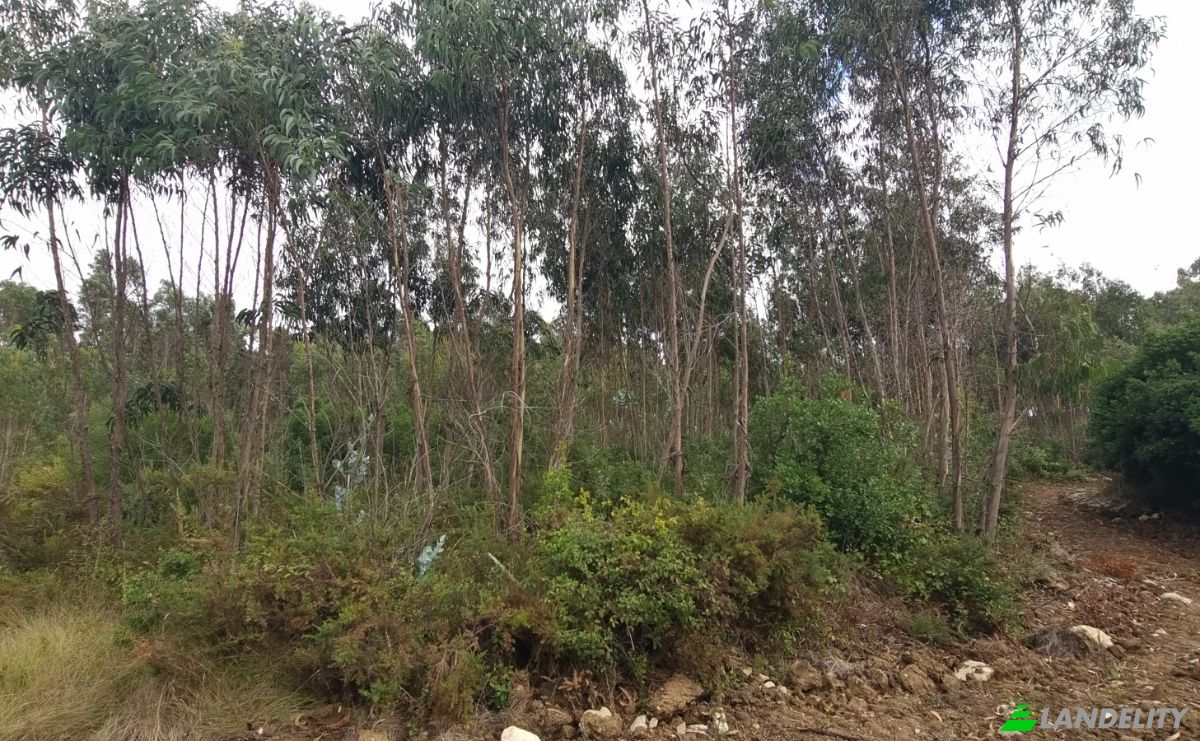 Land Lot for Sale Rua do Beirao, Moledo, Lourinha, Lisbon, Portugal. Photo 8