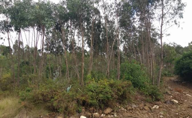 Land Lot for Sale Rua do Beirao, Moledo, Lourinha. Photo#8 Land Lot for Sale Rua do Beirao, Moledo, Lourinha. Photo#8