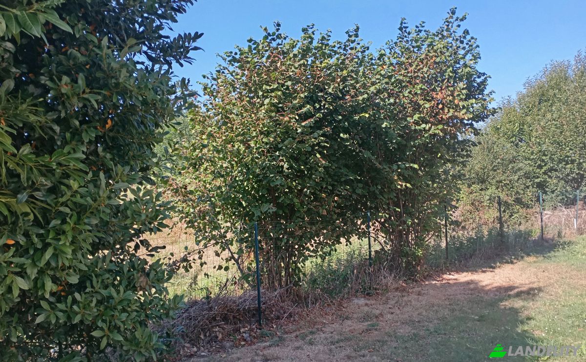 Villa for Sale 16 Rue des Courlis, 35350 Saint-Meloir-des-Ondes, Saint-Meloir-des-Ondes, Ille-et-Vilaine, Brittany, France. Photo 12