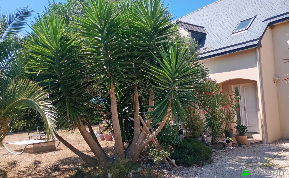 Villa for Sale 16 Rue des Courlis, 35350 Saint-Meloir-des-Ondes, Saint-Meloir-des-Ondes, Ille-et-Vilaine, Brittany, France. Photo 3
