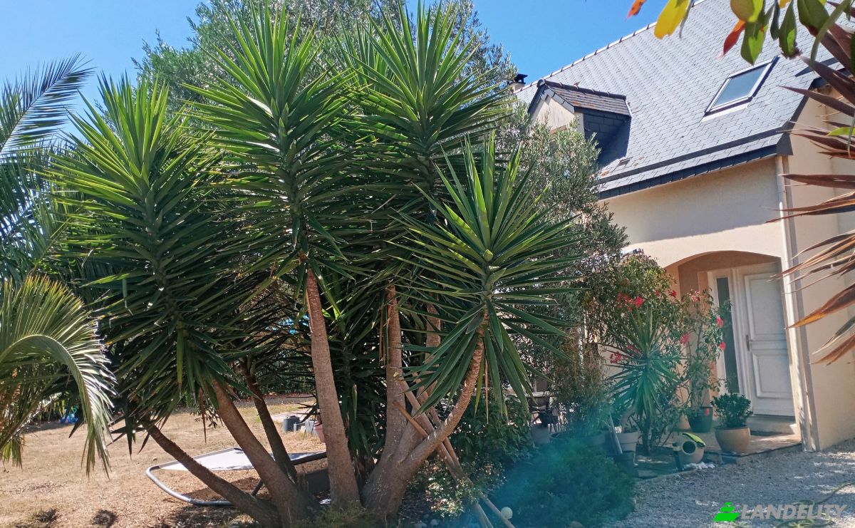 Villa for Sale 16 Rue des Courlis, 35350 Saint-Meloir-des-Ondes, Saint-Meloir-des-Ondes, Ille-et-Vilaine, Brittany, France. Photo 5