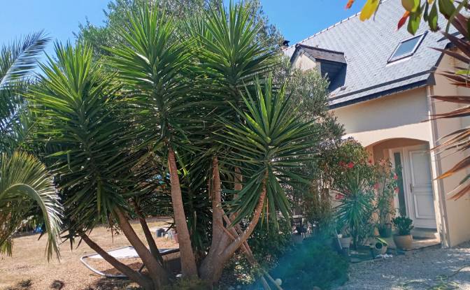 Villa for Sale 16 Rue des Courlis. Photo#5 Villa for Sale 16 Rue des Courlis. Photo#5